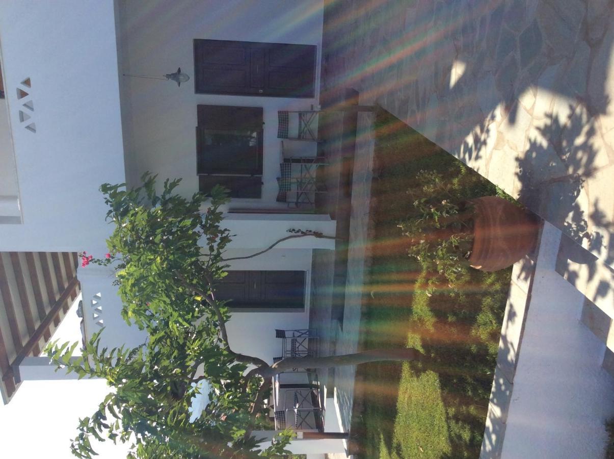 Eleana Studios Skyros Exteriör bild
