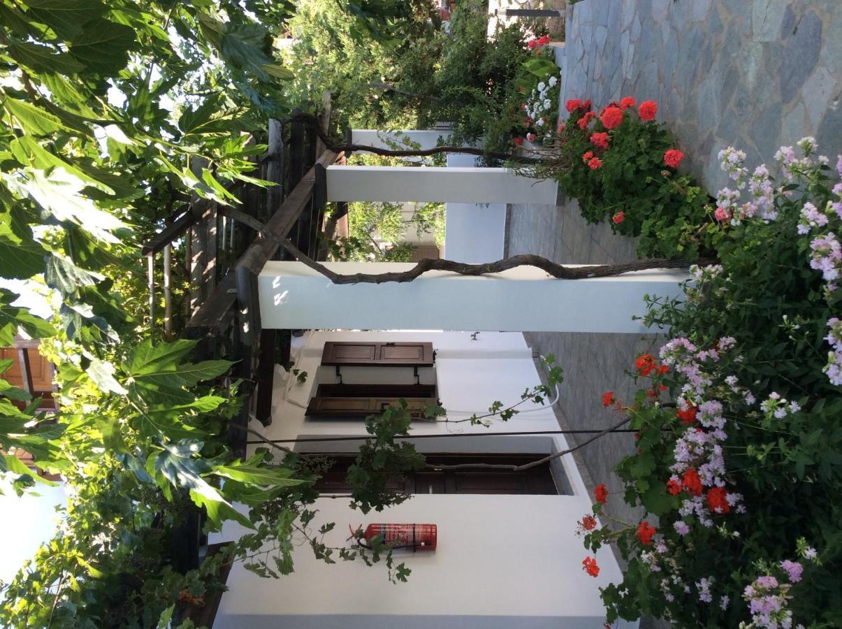 Eleana Studios Skyros Exteriör bild