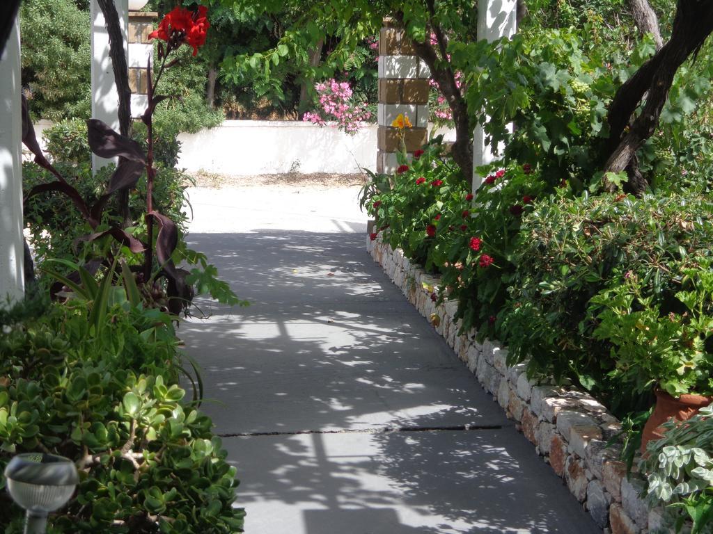 Eleana Studios Skyros Exteriör bild