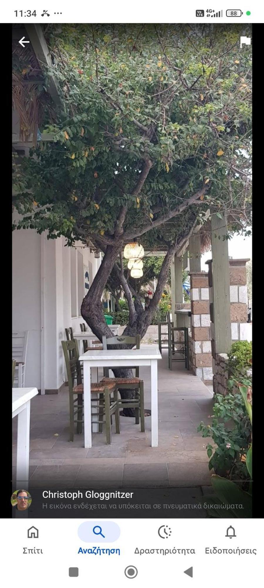 Eleana Studios Skyros Exteriör bild