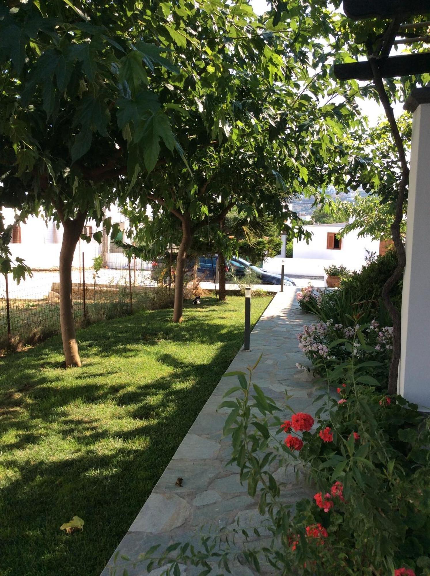 Eleana Studios Skyros Rum bild