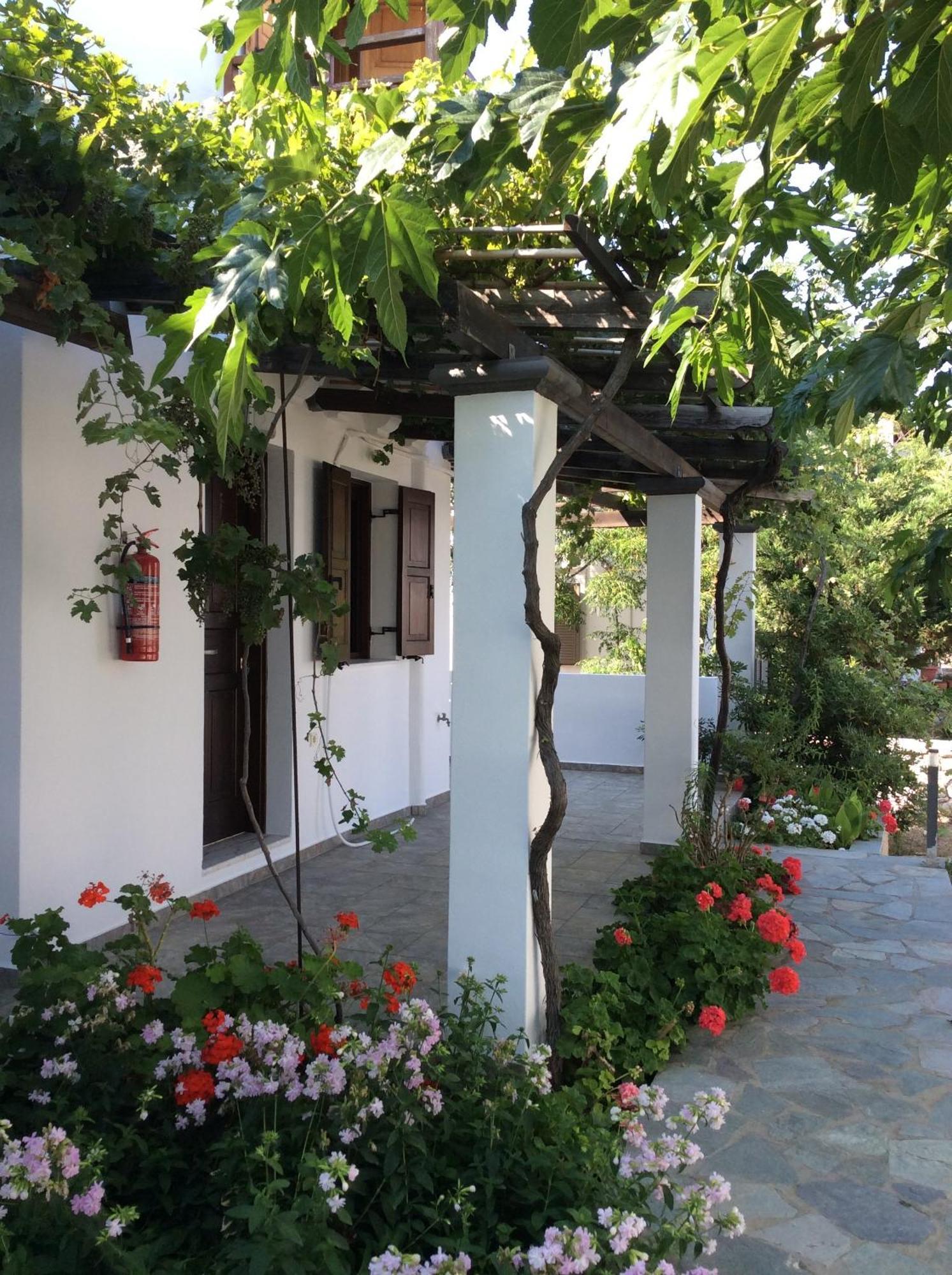 Eleana Studios Skyros Exteriör bild