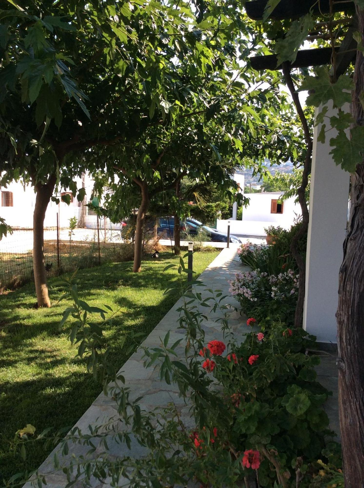 Eleana Studios Skyros Exteriör bild