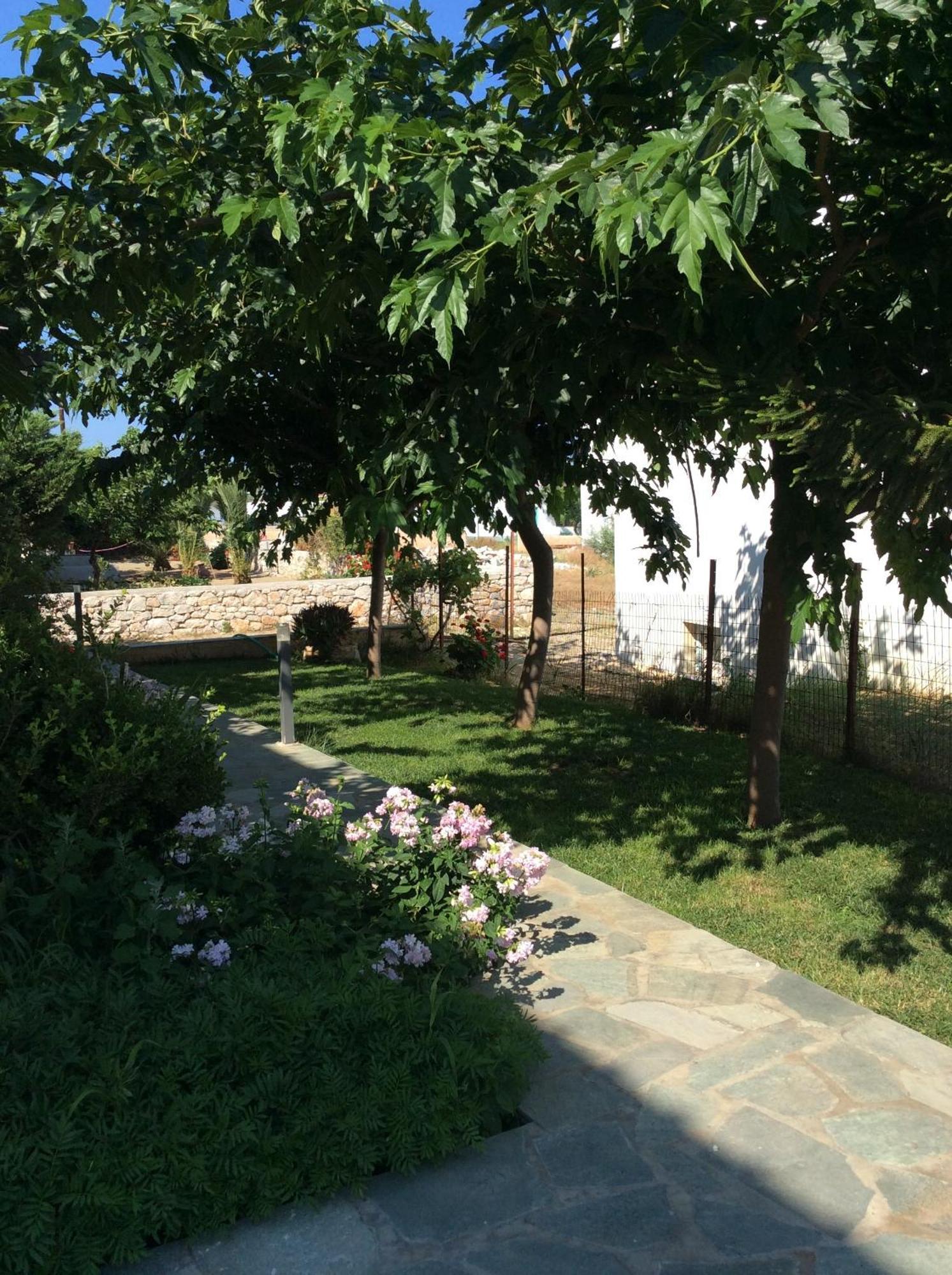 Eleana Studios Skyros Exteriör bild