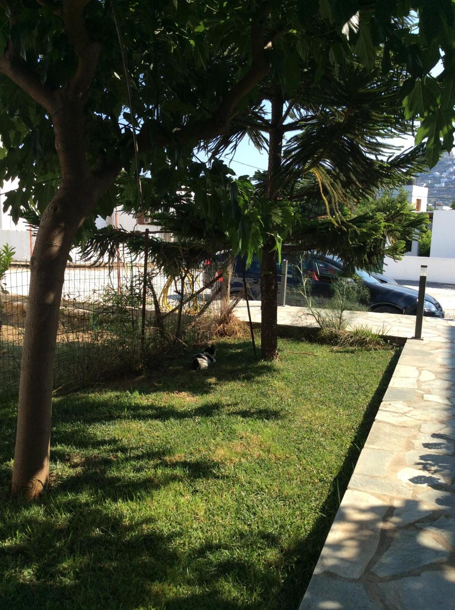 Eleana Studios Skyros Exteriör bild