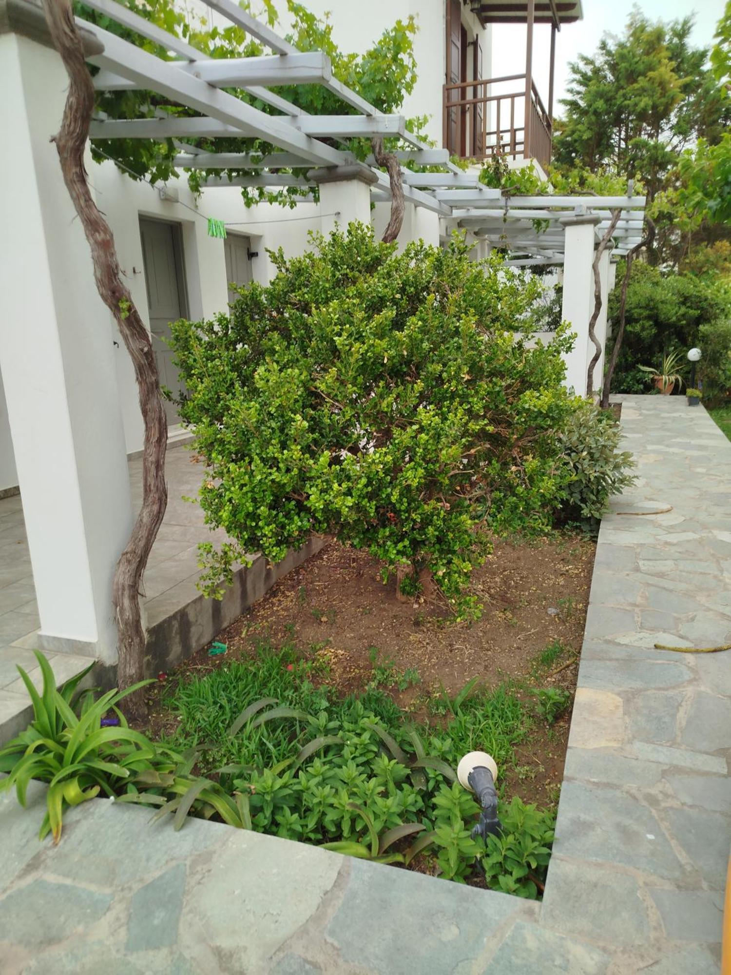 Eleana Studios Skyros Exteriör bild